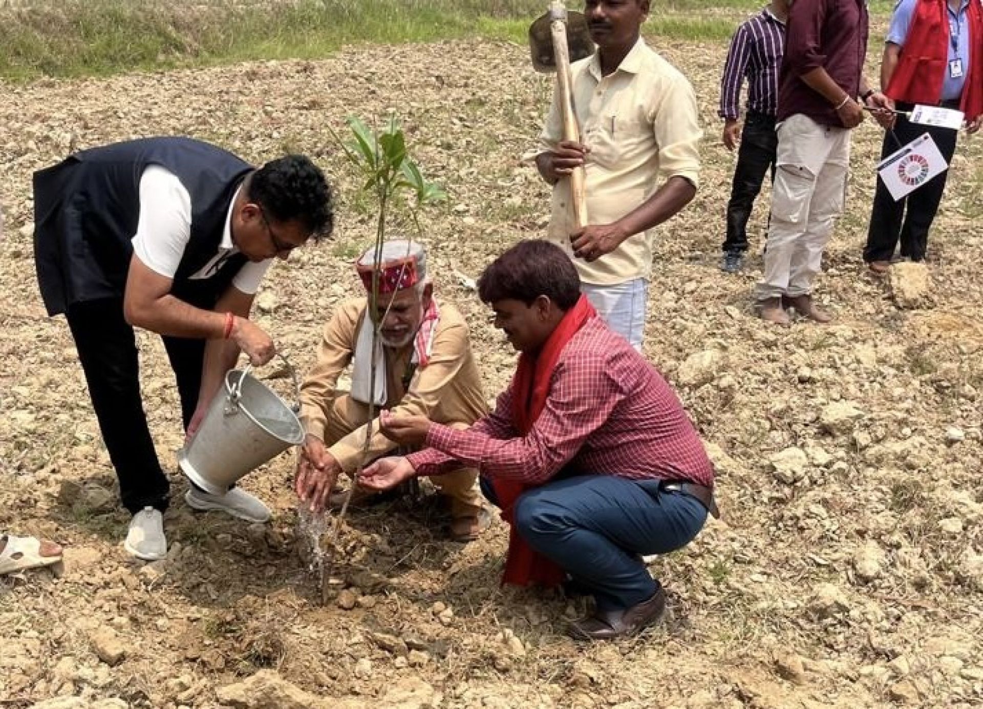मुक्तिनाथ विकास बैंकद्वारा ईलाम र महोत्तरीमा वृक्षरोपण कार्यक्रम